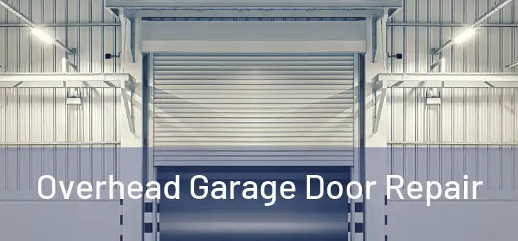  Overhead Garage Door Repair 